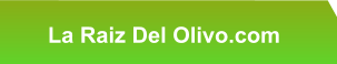 La Raiz Del Olivo.com